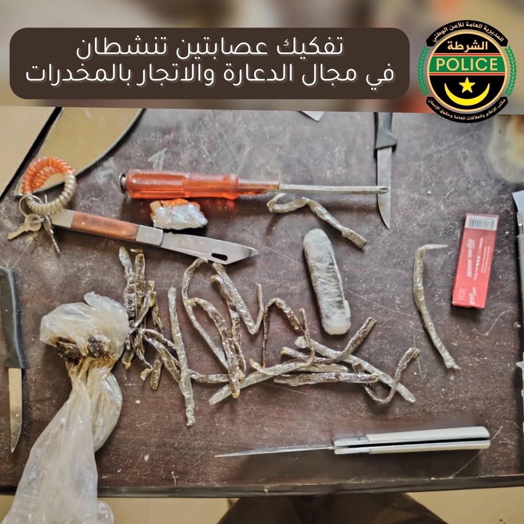 الشامي: الشرطة تفكك عصابتين تمتهنان الدعارة وبيع واستعمال المخدرات